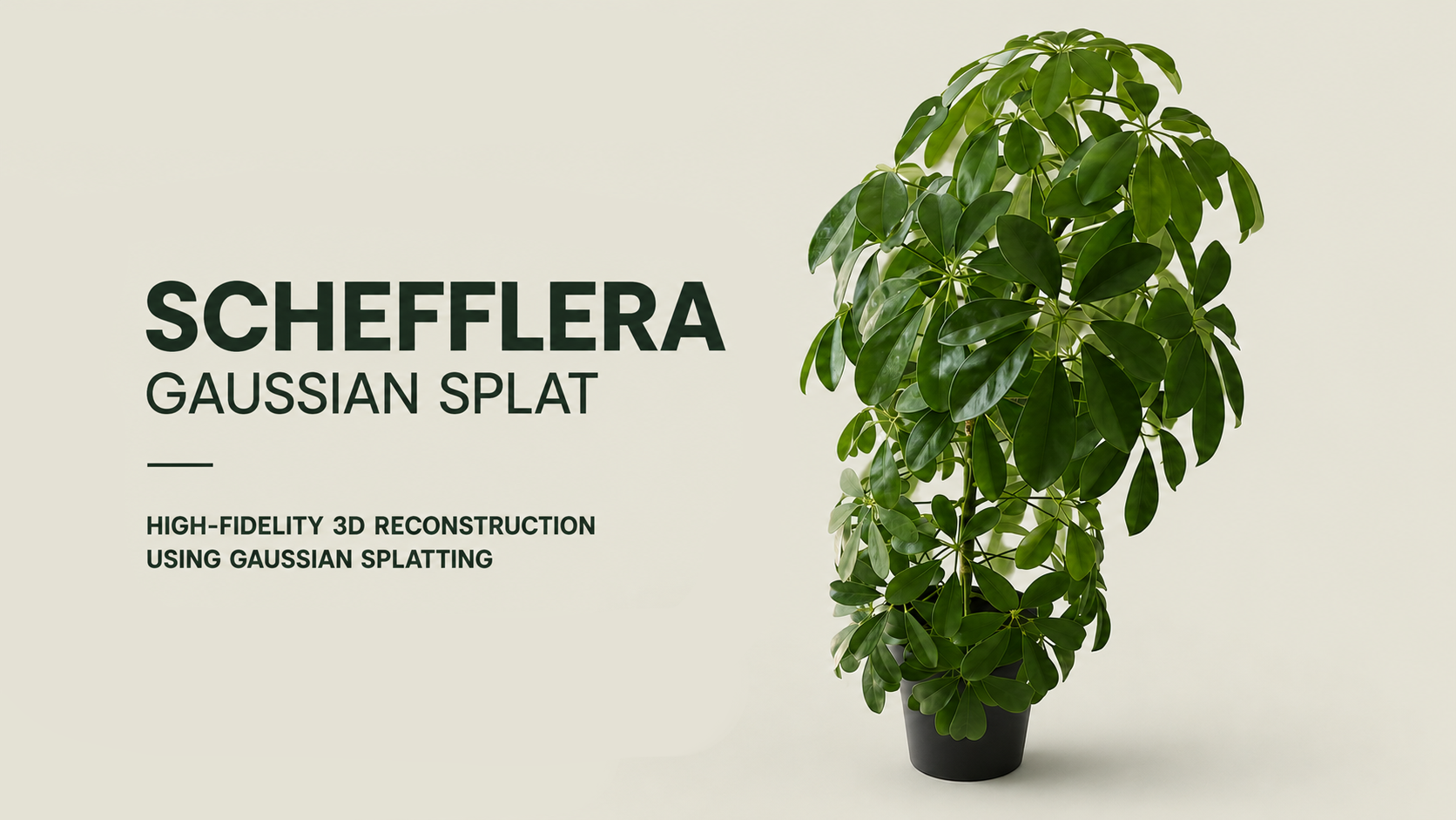 Schefflera – interactive 3D Gaussian Splat of a real houseplant