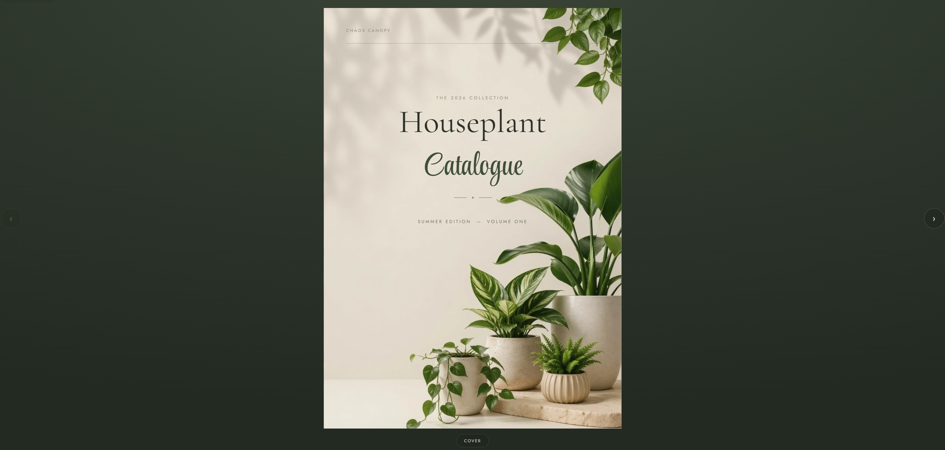 Chaos Canopy Catalogue – product catalogue design